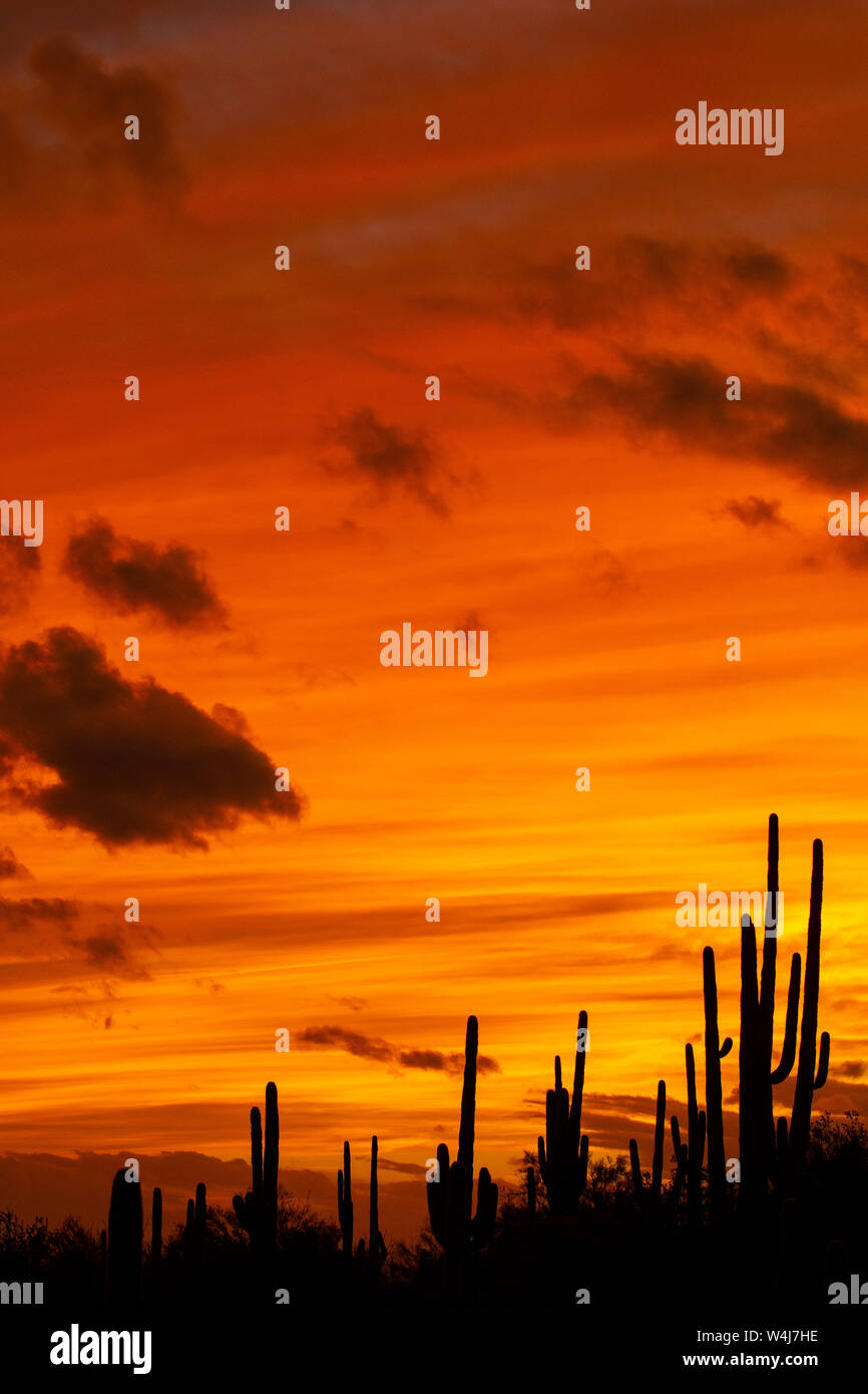 Marana, near Tucson, Arizona. Stock Photo