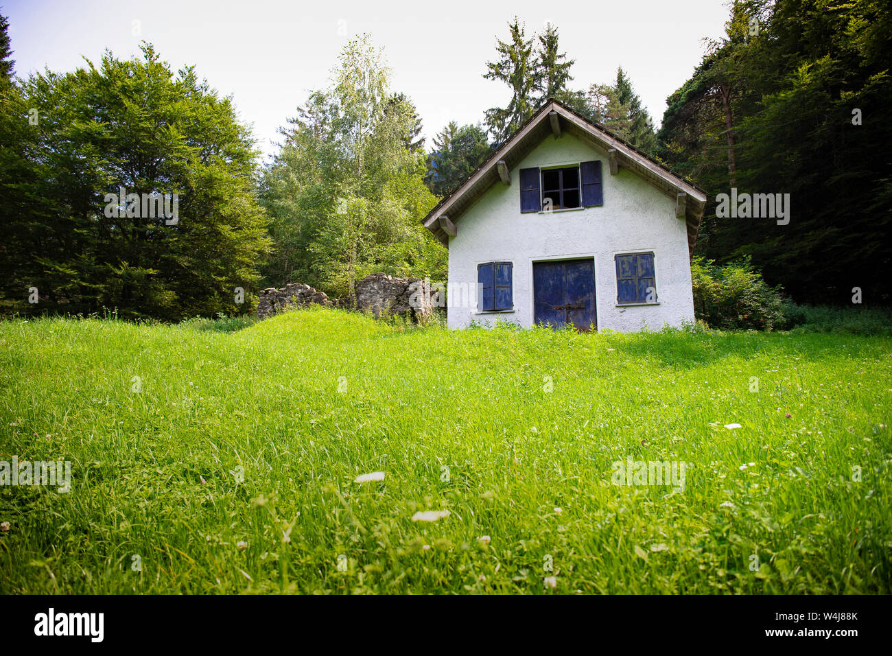white cabin or barn with blue windows and door in green meadow. low point of view. Stock Photo