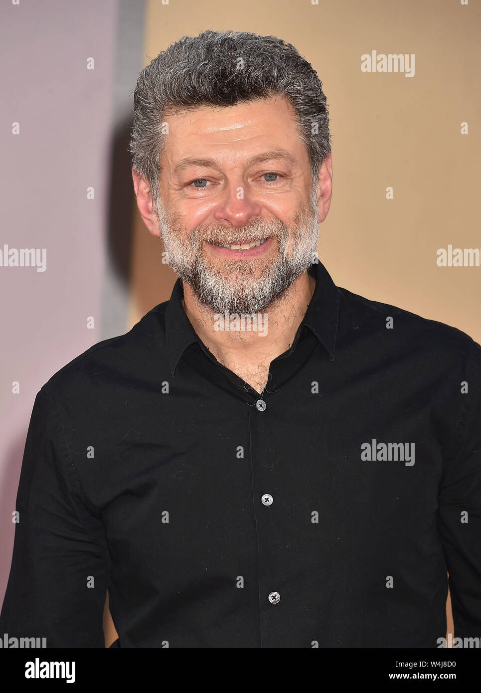 HOLLYWOOD, CA - JULY 22: Andy Serkis attends the Sony Pictures&rsquo; &ldquo;Once