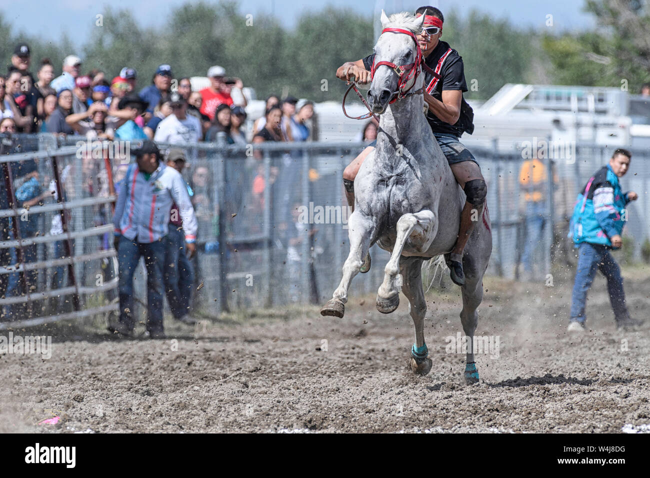Kainai Indian Relay (horse) Race in Stand Off , Alberta Canada Stock
