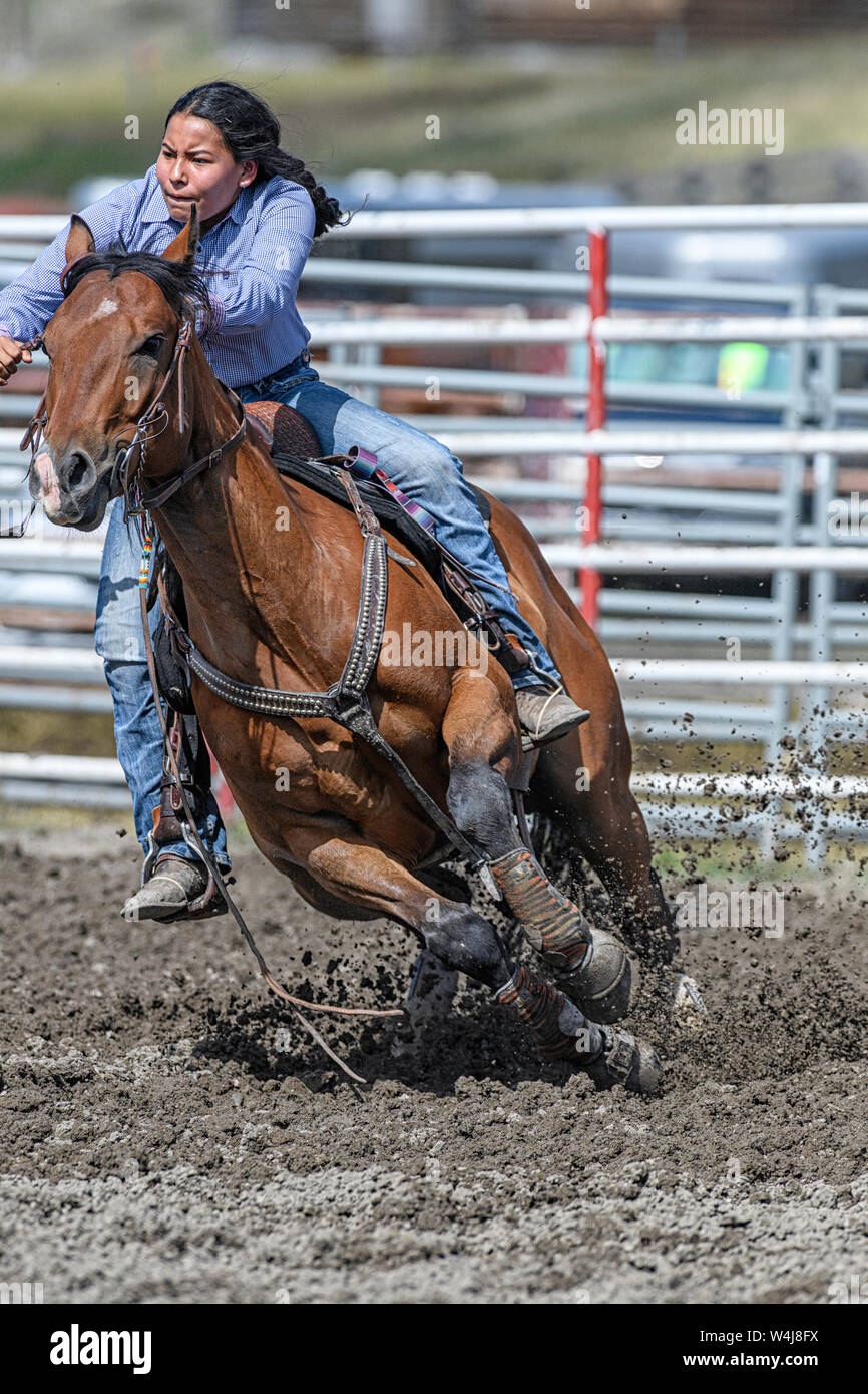 Barrel Racer at the Kainai Rodeo in Standoff, Alberta Canada Stock
