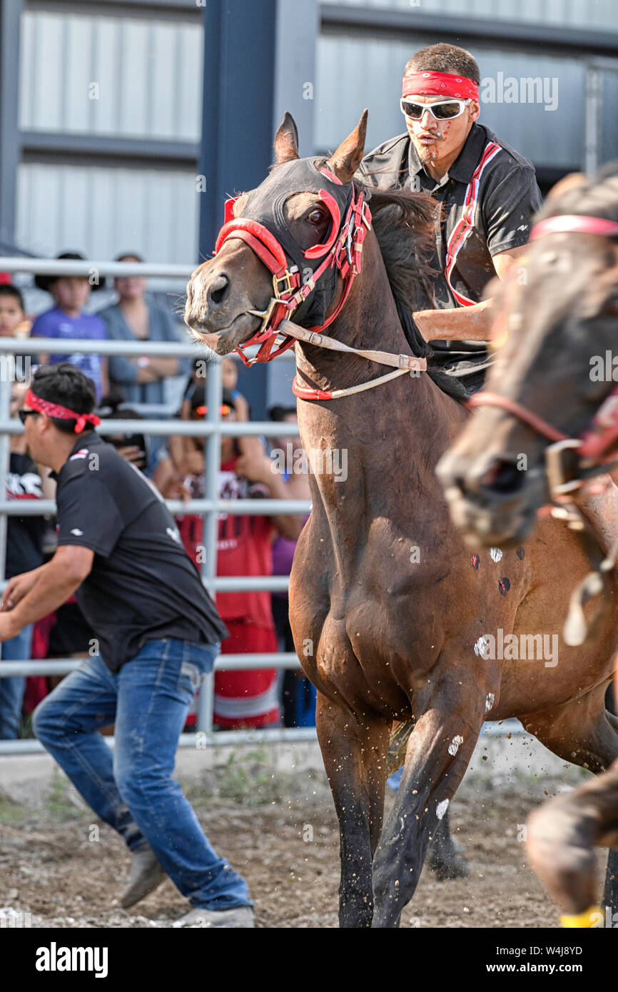 Kainai Indian Relay (horse) Race in Stand Off , Alberta Canada Stock