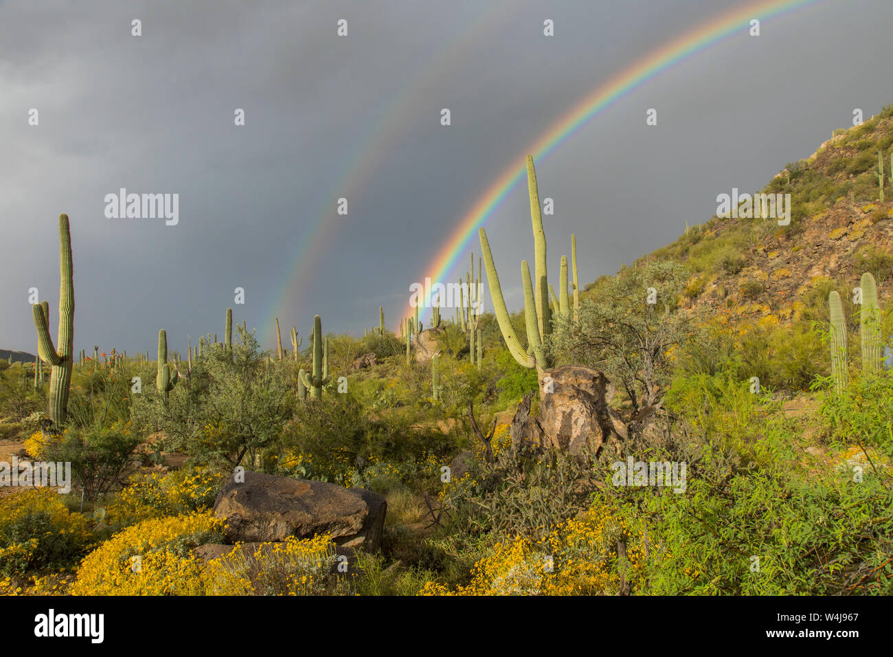 Desert rainbow, Arizona. Stock Photo