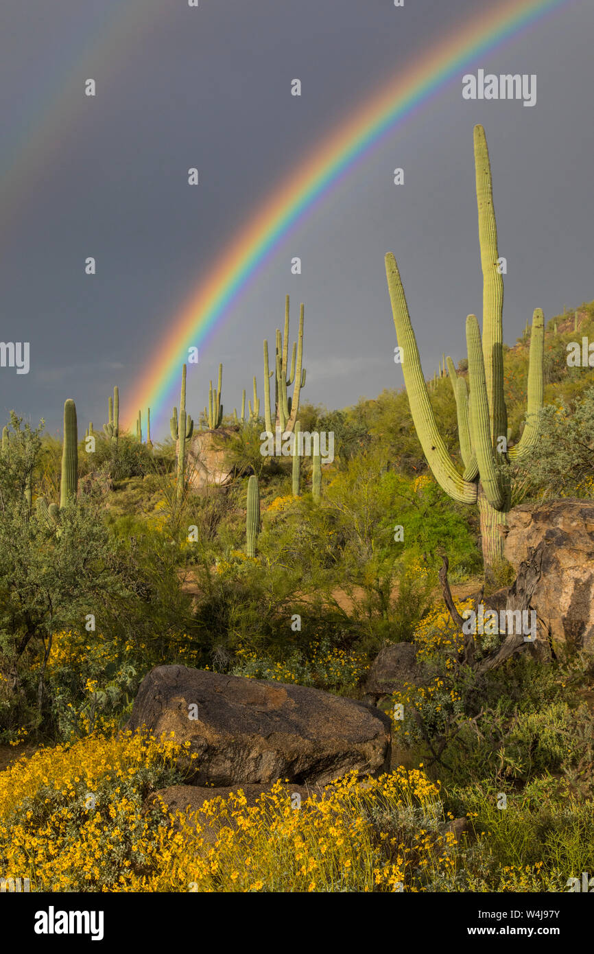 Desert rainbow, Arizona. Stock Photo