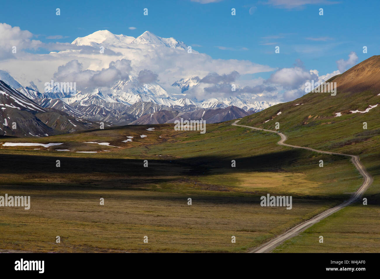 Denali National Park, Alaska. Stock Photo