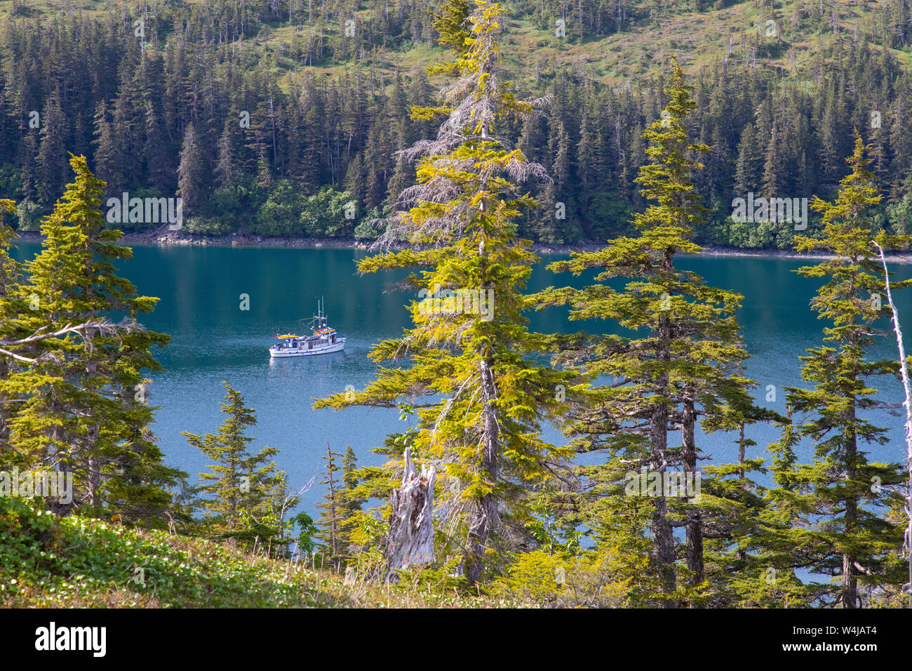 Prince William Sound, Chugach National Forest, Alaska. Stock Photo