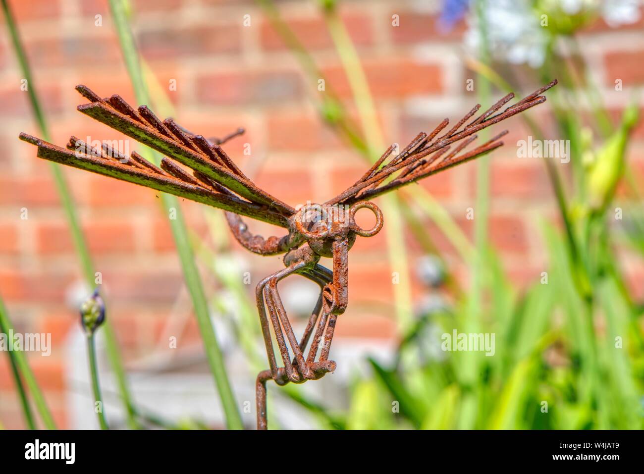 Garden art. A rusty metal dragonfly, Upper Wield, Alresford, Hampshire, UK Stock Photo