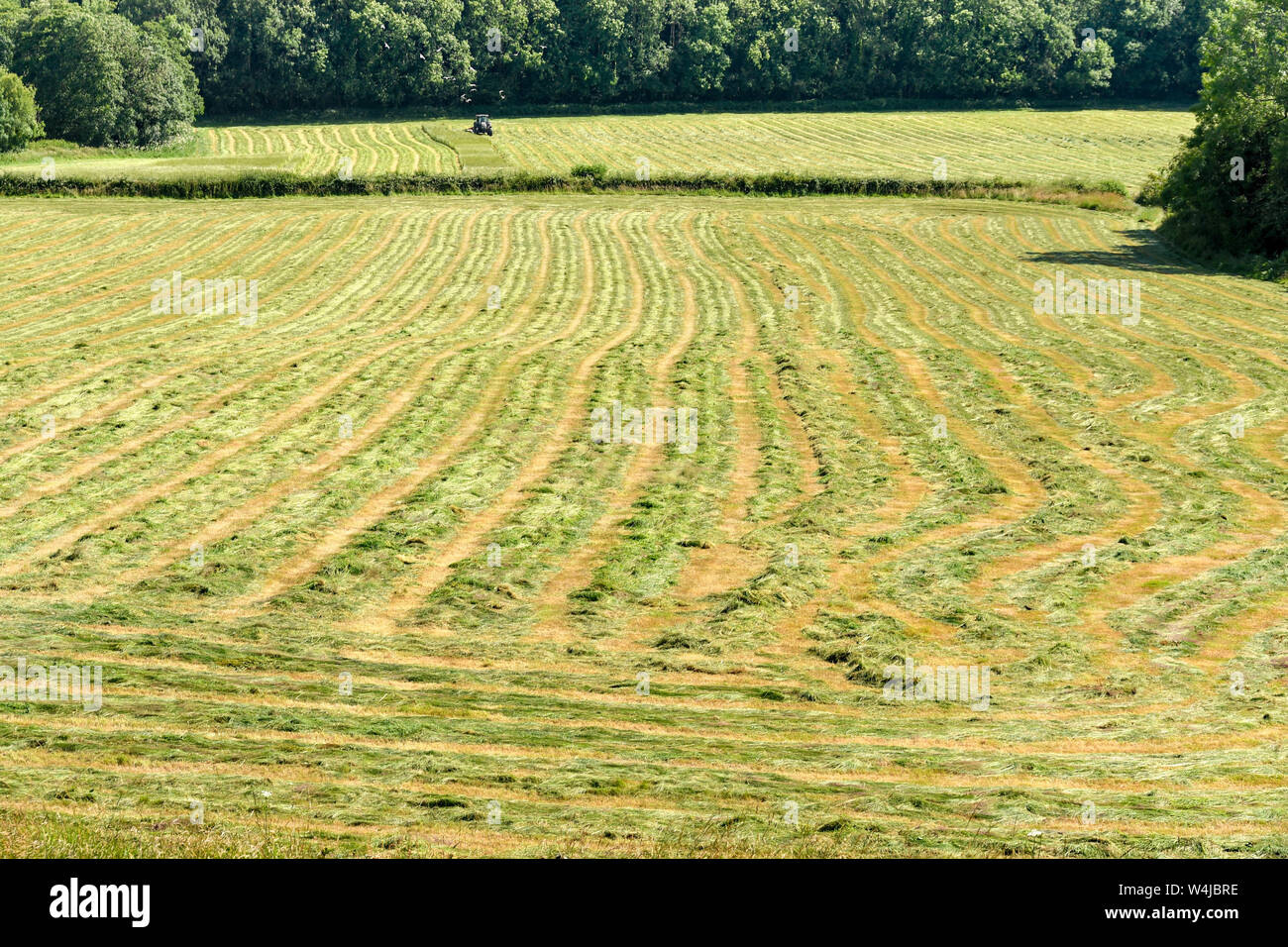 Hay pattern hires stock photography and images Alamy