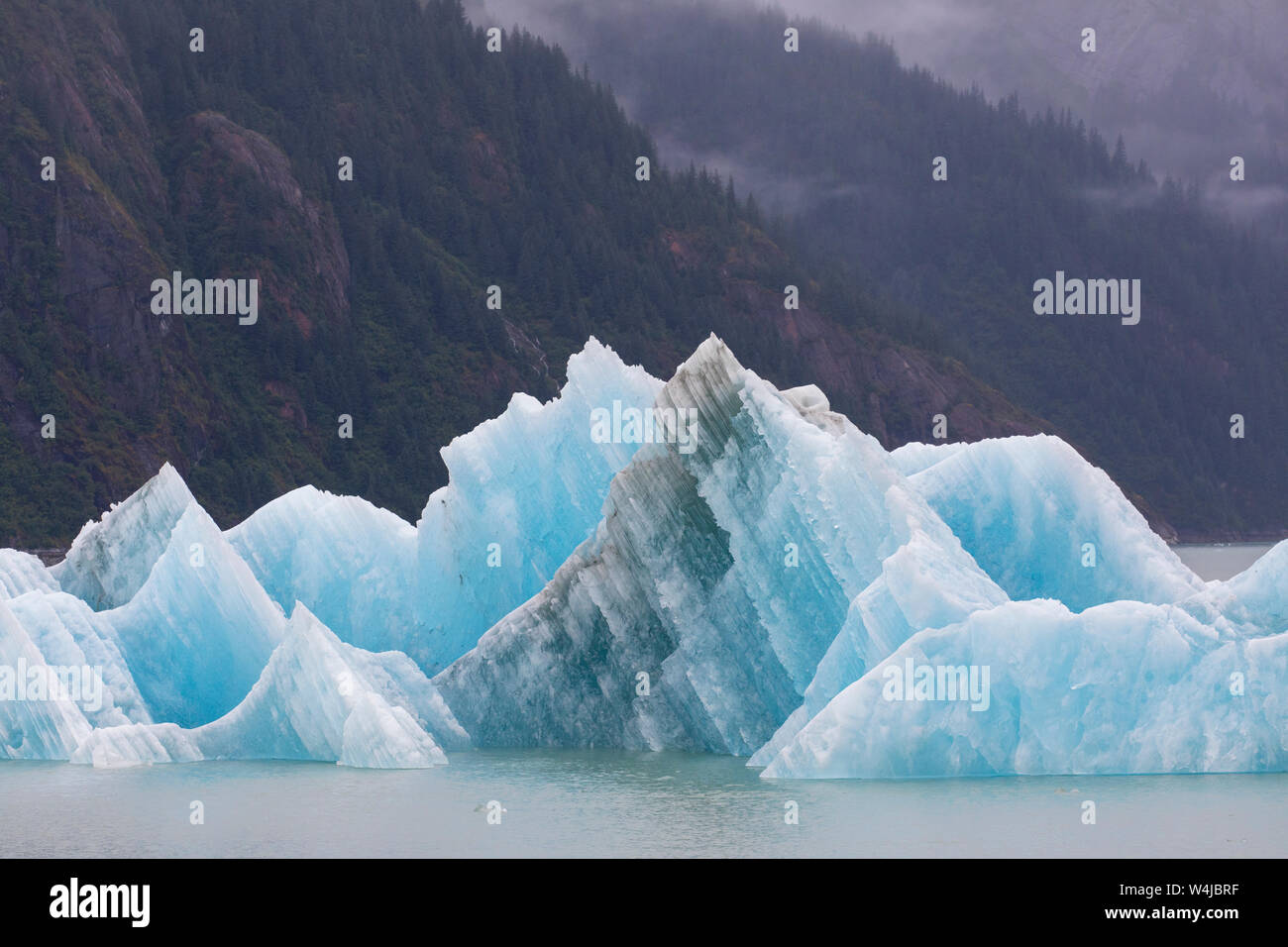 Iceberg. Endicott Arm, Alaska. Stock Photo