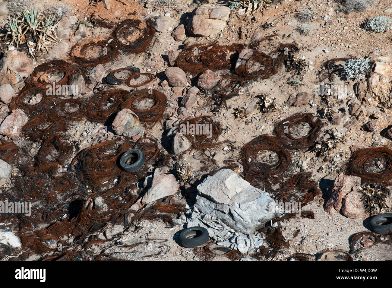Baja California, Mexico: la Rumorosa, tyre dump. Stock Photo