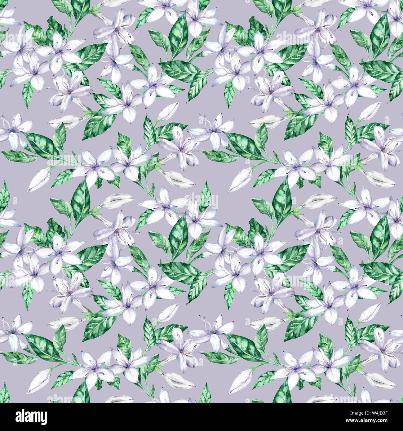 Watercolor seamless pattern with white coffee flowers and green leaves ...