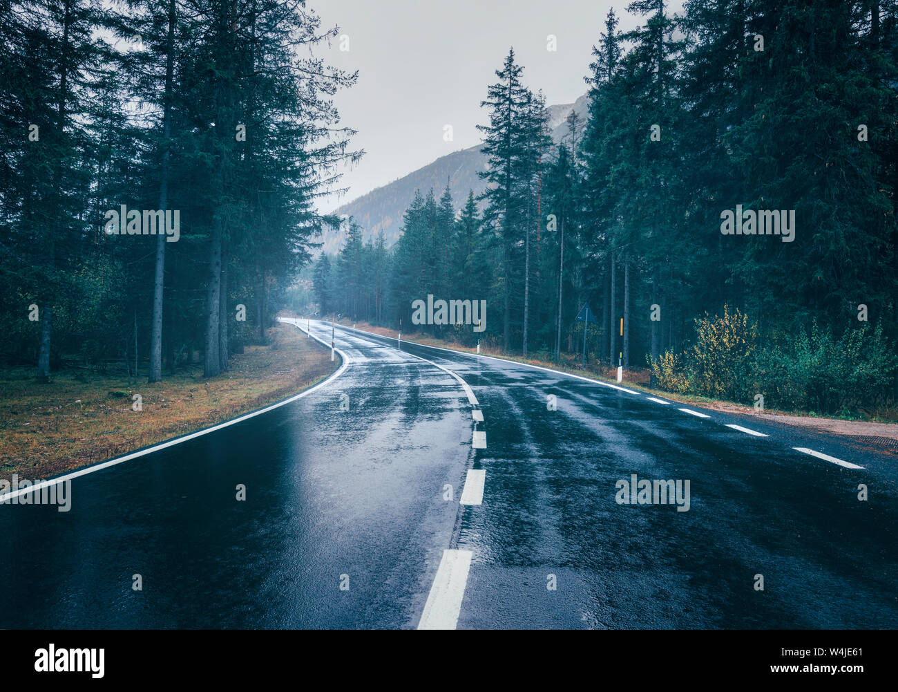 Road in the summer foggy forest in rain. Landscape Stock Photo