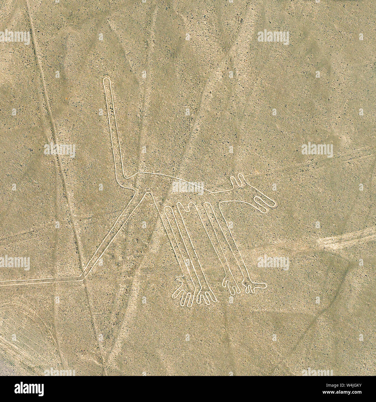 The dog geoglyph drawing pattern in the peruvian desert known as the Nazca Lines near Nazca, Peru. Stock Photo