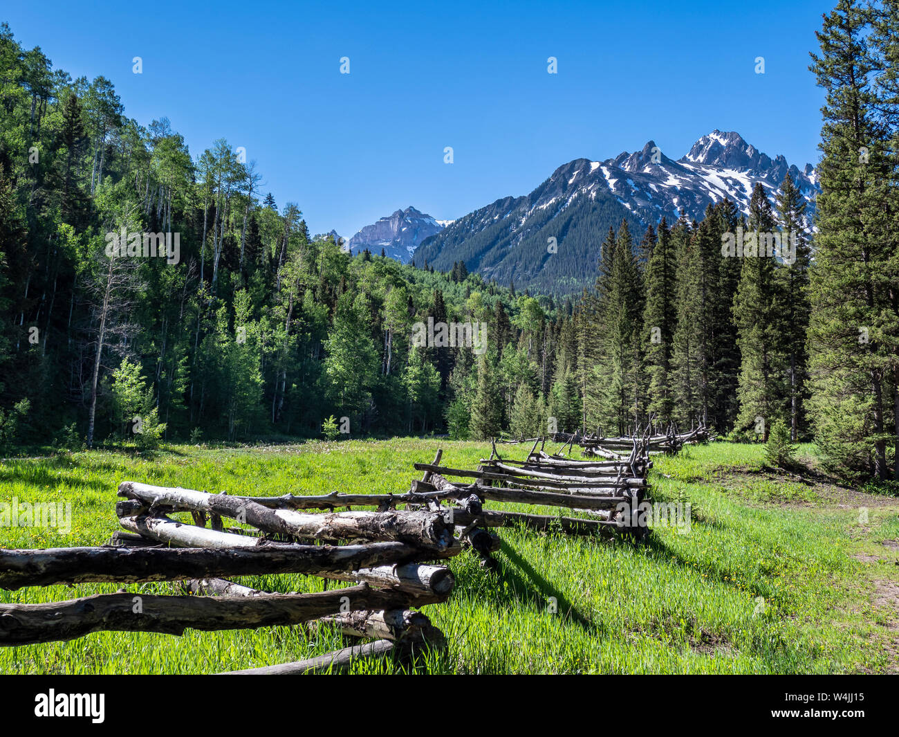 San juan national forest tower hi-res stock photography and images - Alamy