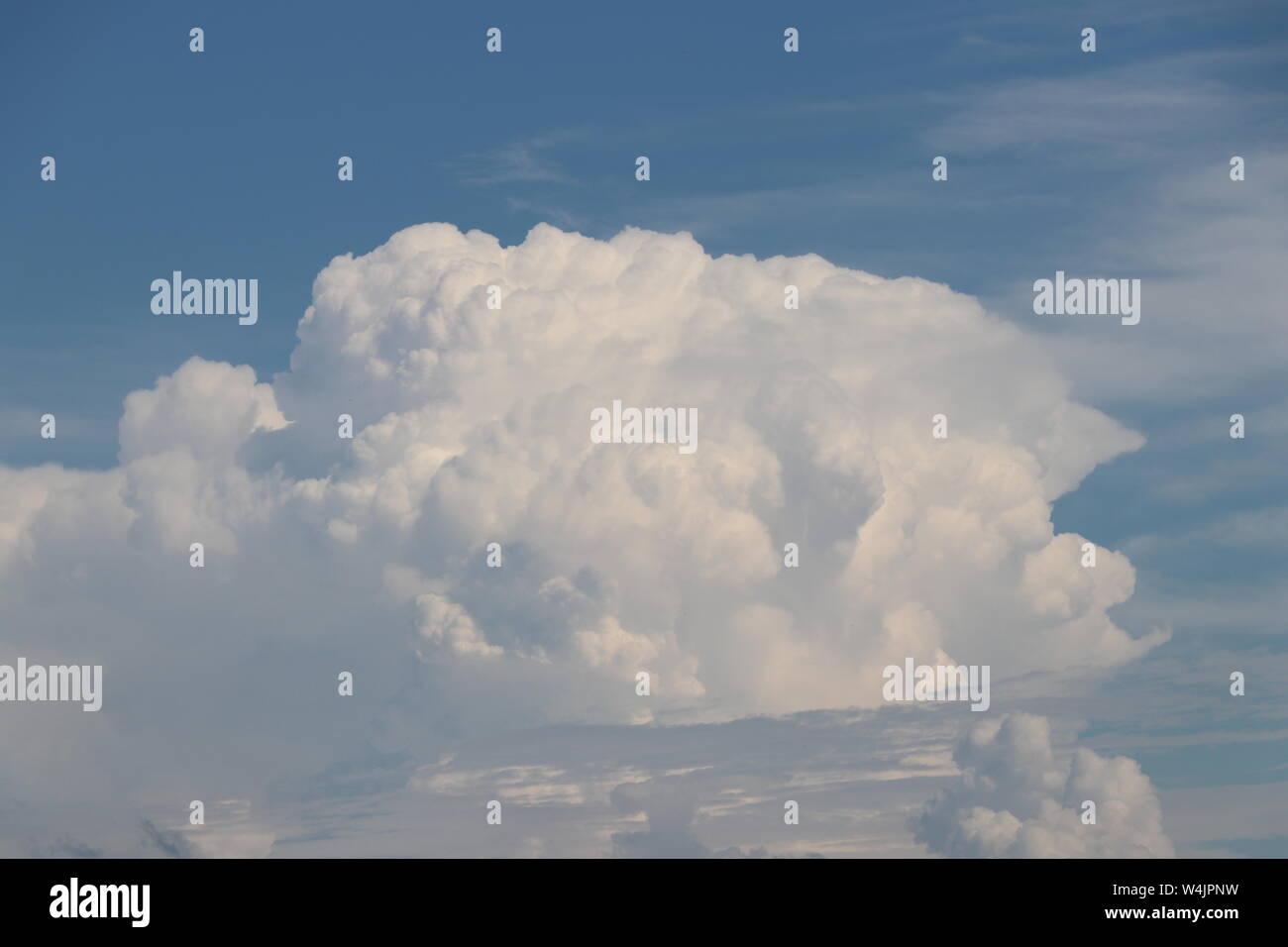 Grey stormy clouds green leaves hi-res stock photography and images - Alamy