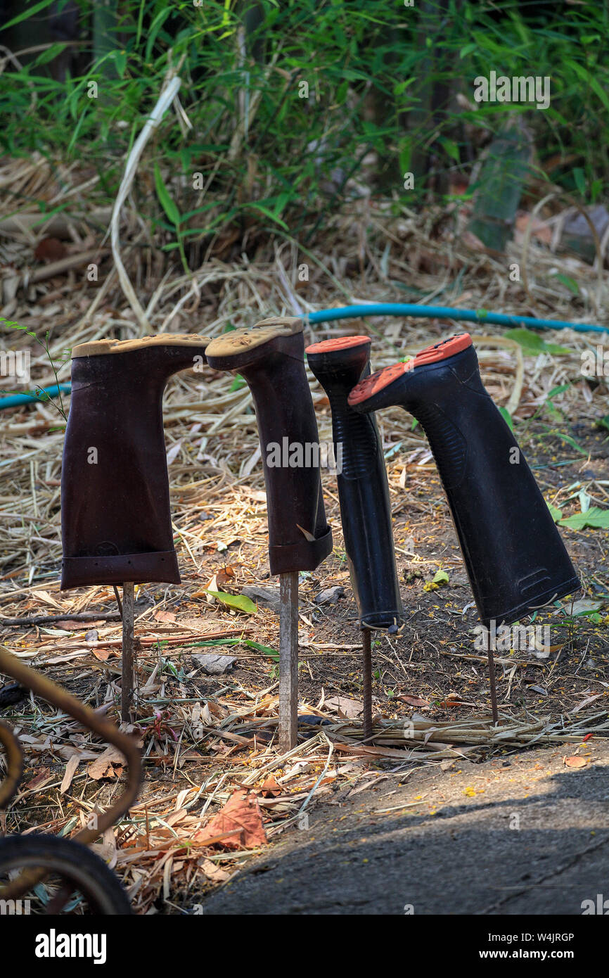 Two pair of Wellington rubber boots, gumboots, hang upside down on posts to keep scorpions from getting inside. Thailand Stock Photo