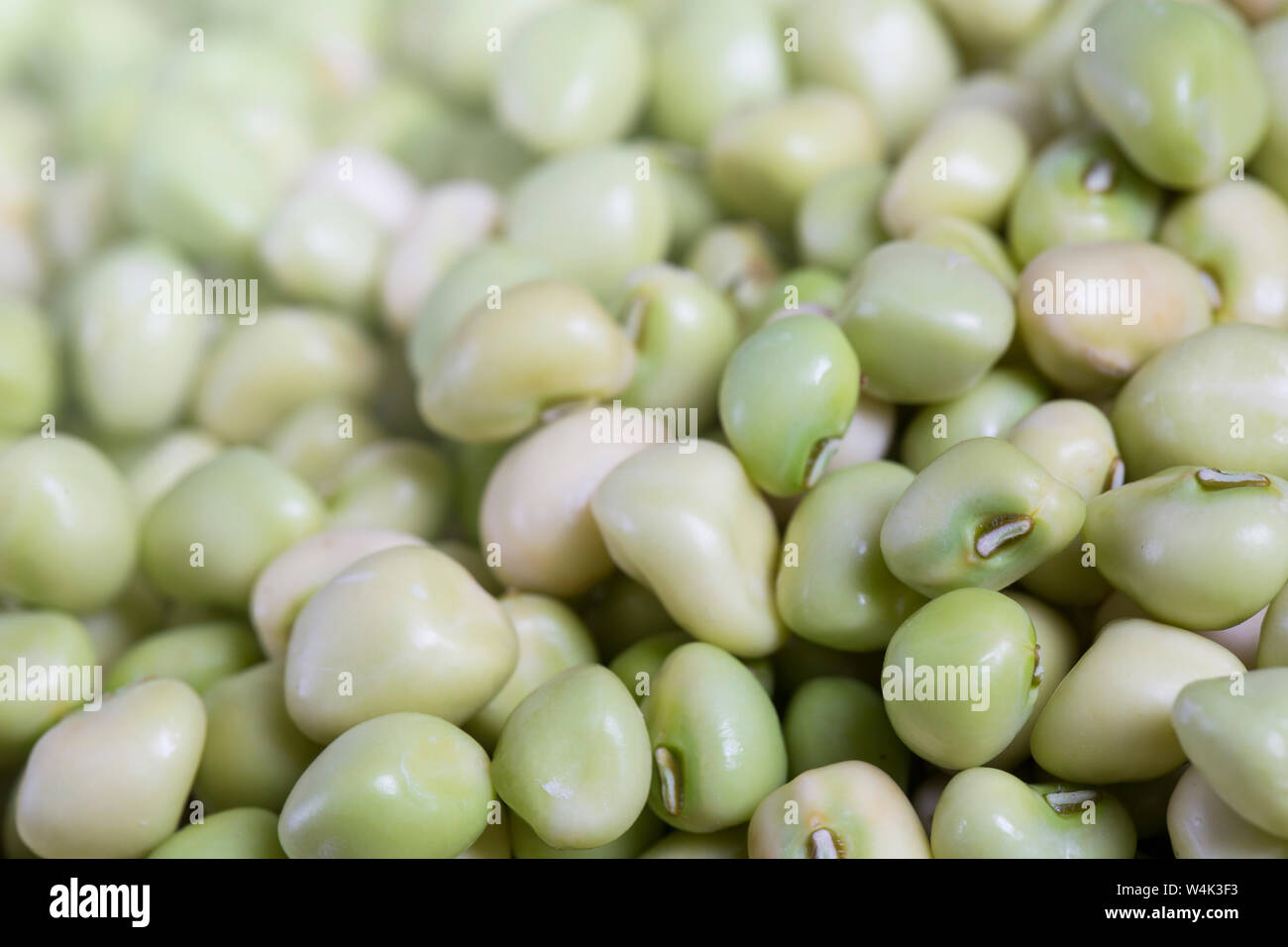 Fresh shelled zipper cream peas Stock Photo Alamy