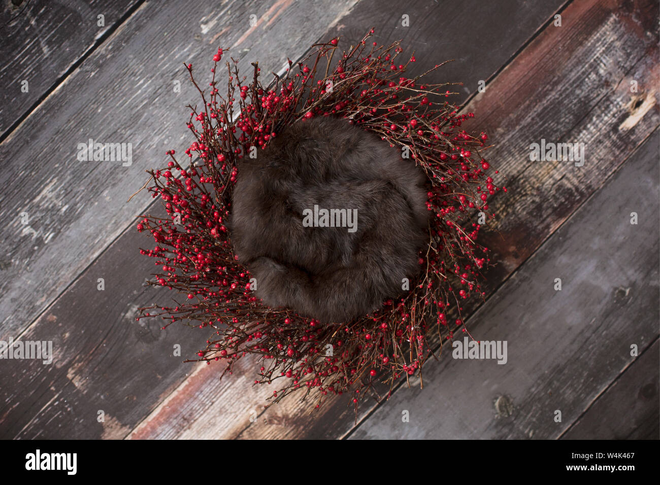 Newborn Digital Background Berry Wreath and Brown Fur on Distressed Wood Stock Photo