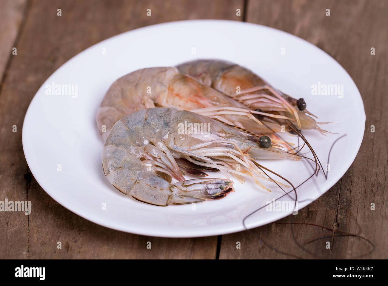 Fresh Caught Louisiana Shrimp Stock Photo Alamy