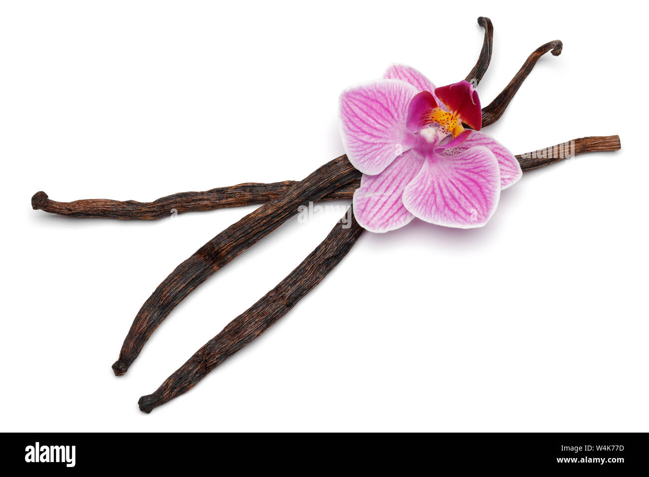 Vanilla sticks with orchid flower isolated on white background Stock Photo