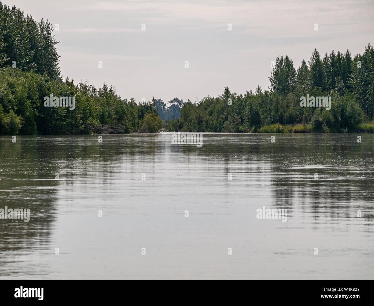 Alexander Creek and the Susitna River. Boating, fishing, hunting dog