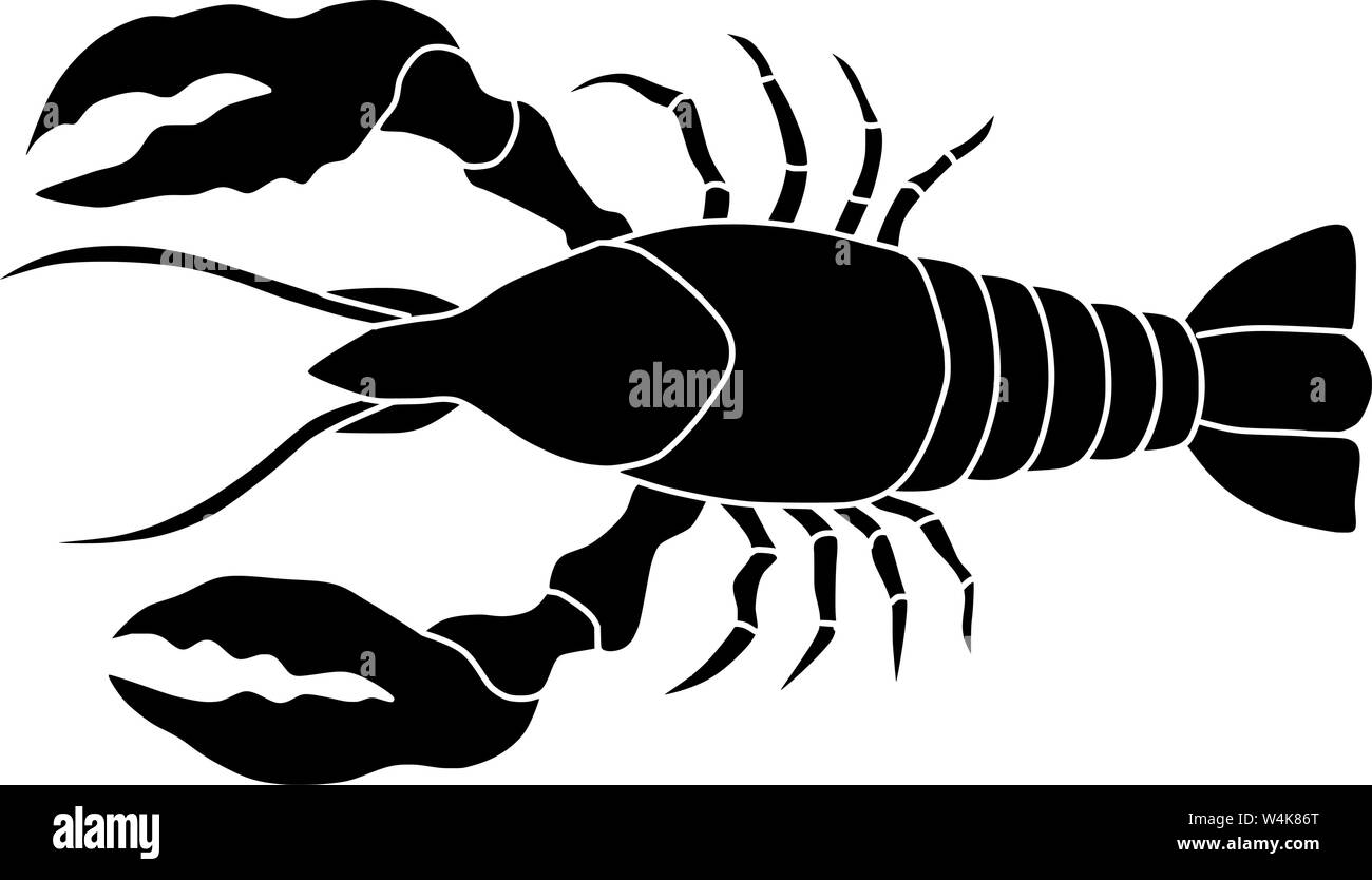 Lobster Images – Browse 152,569 Stock Photos, Vectors, and Video