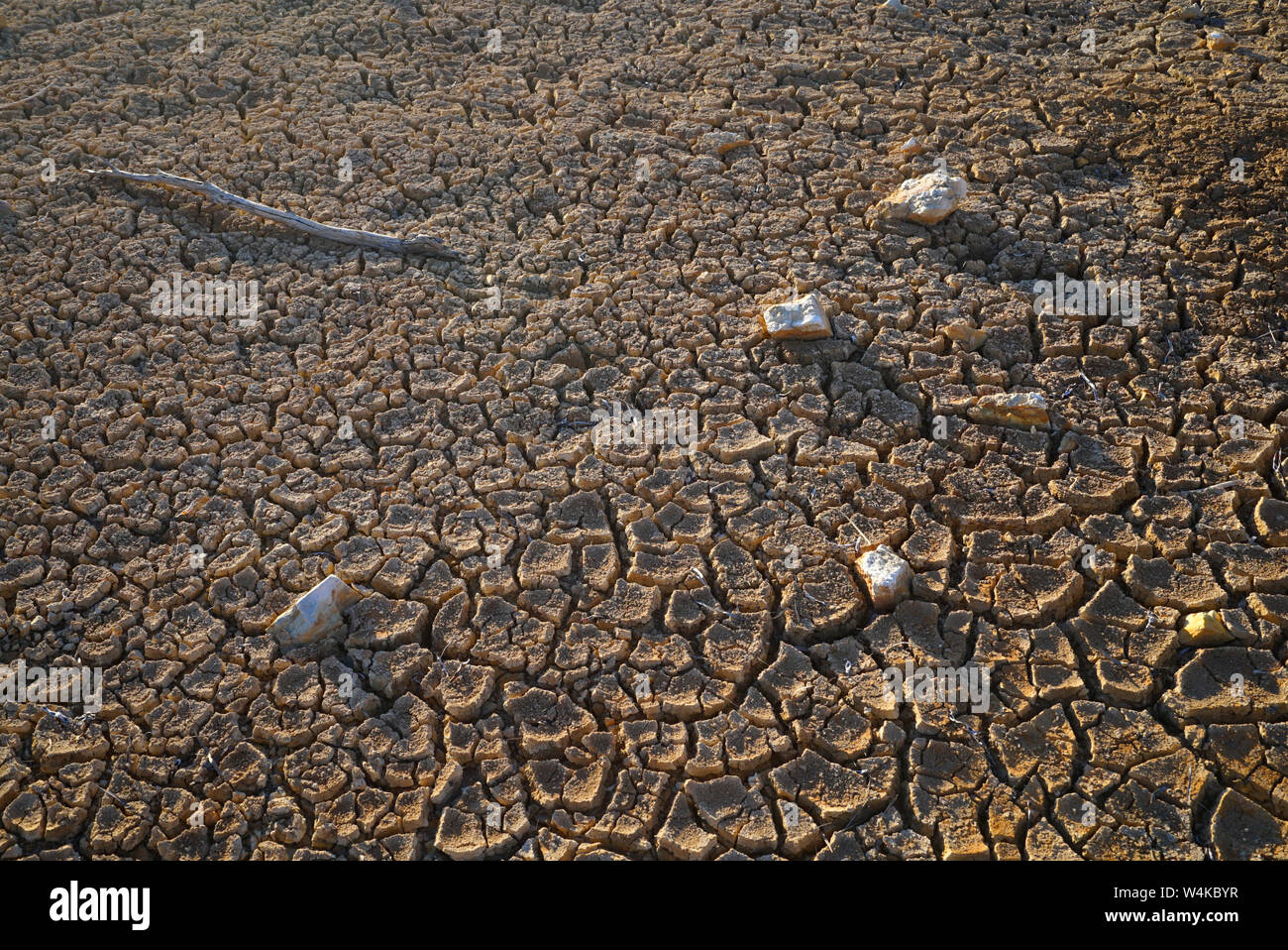 cracked soil in dams on the common land in Emmaville, northern new south wales, australia due to the worst drought since records began Stock Photo