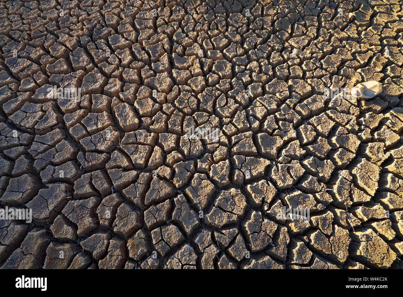 cracked soil in dams on the common land in Emmaville, northern new south wales, australia due to the worst drought since records began Stock Photo