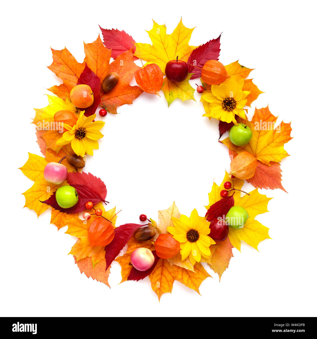 Wreath of autumn leaves with flowers, fruits isolated on white ...