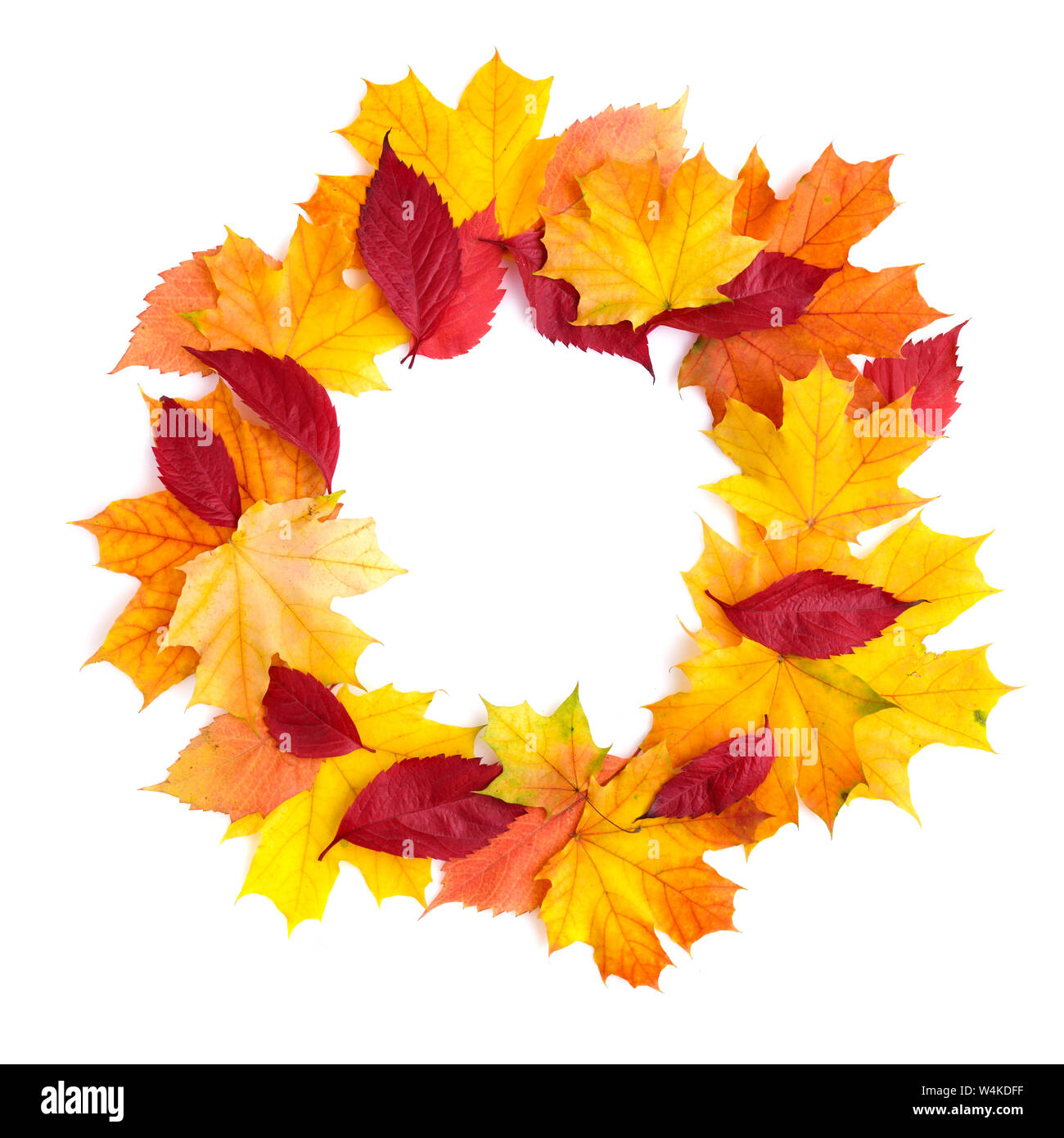 Wreath of autumn leaves isolated on white background. Top view Stock ...