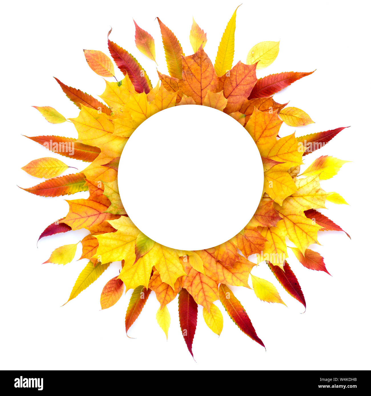 Autumn circular frame with colorful leaves isolated on white background ...