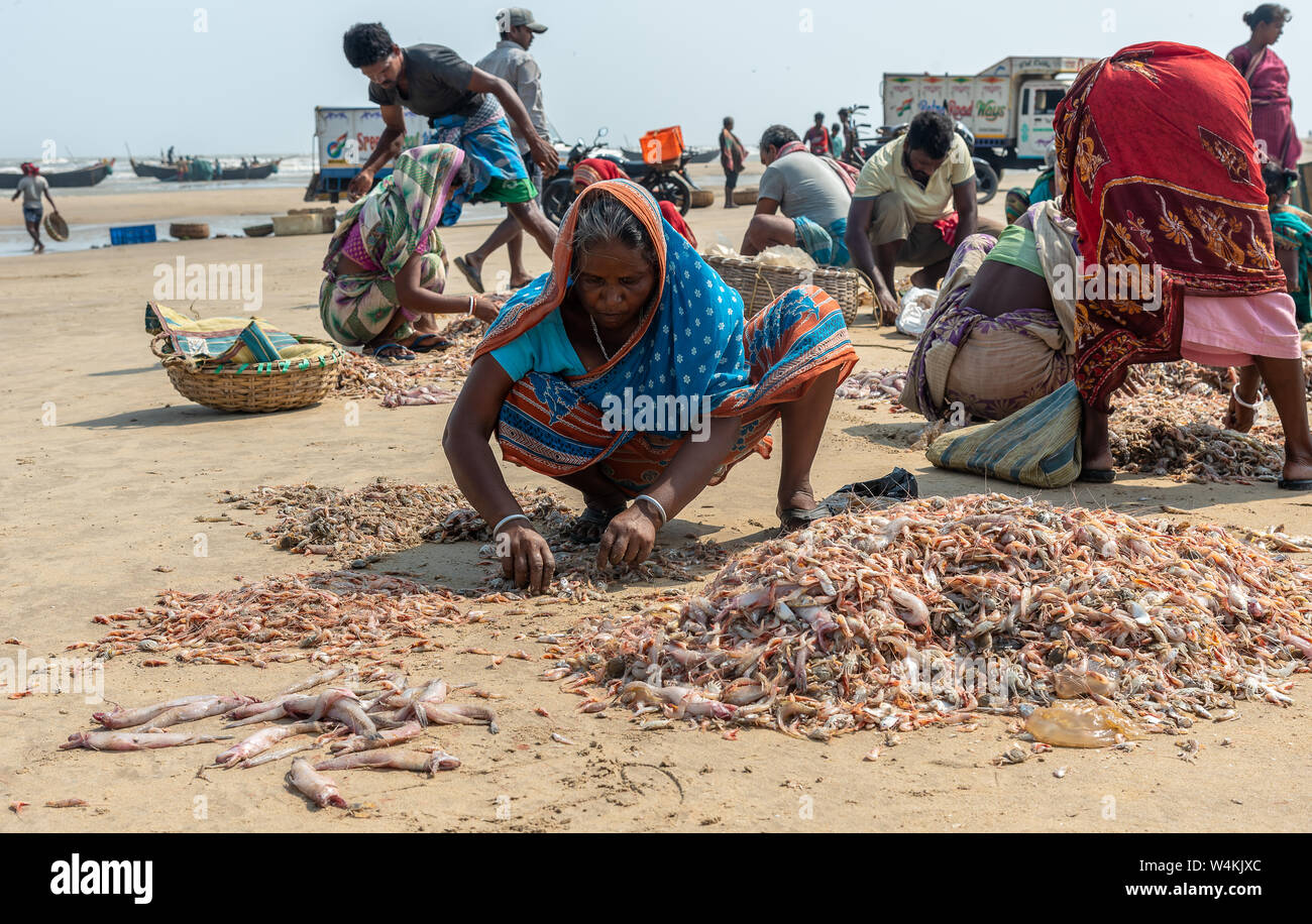 Digha, West Bengal, India. May,30,2019. An Indian village old woman