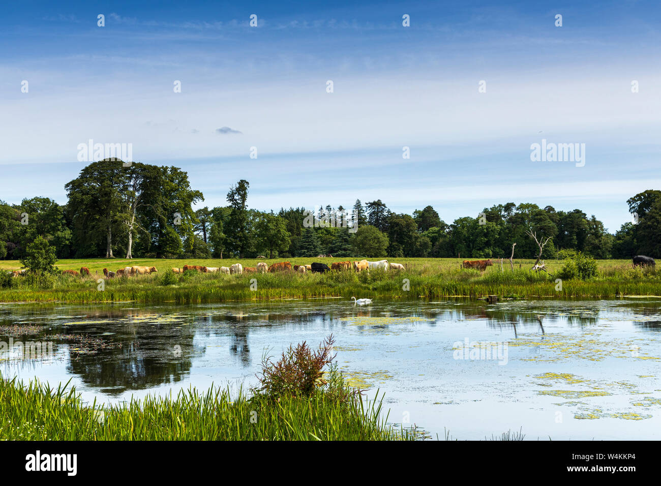 Lake at Russborough House and Parklands, Blessinton, County Wicklow, Ireland Stock Photo