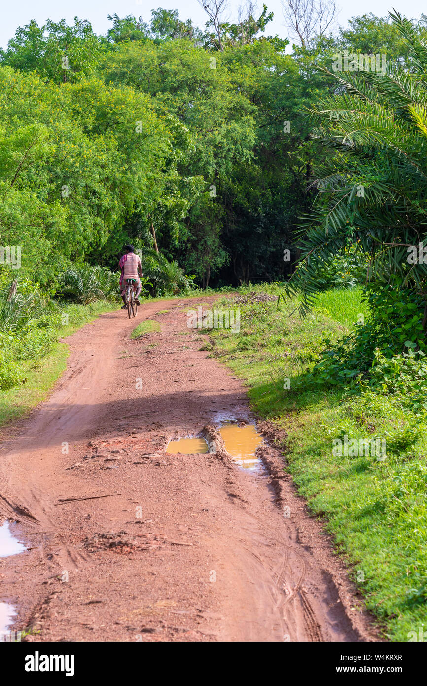 Indian Agricultural field with village road in the early morning. Stock Photo