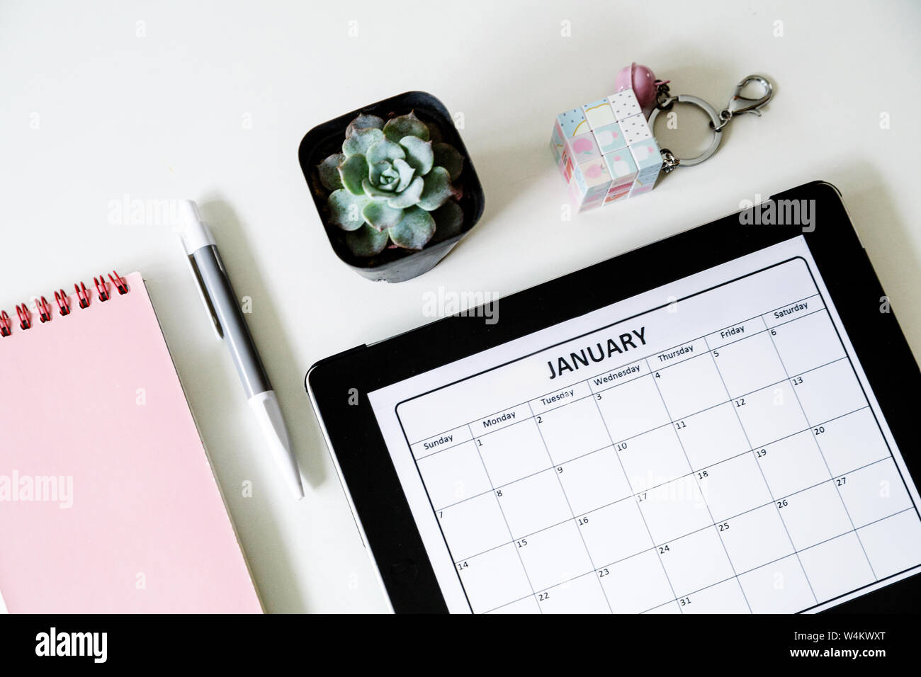 Download Flat Lay Desk With Notebook Succulent Flower Pen And Calendar Planning Concept Mockup Top View Overhead Stock Photo Alamy