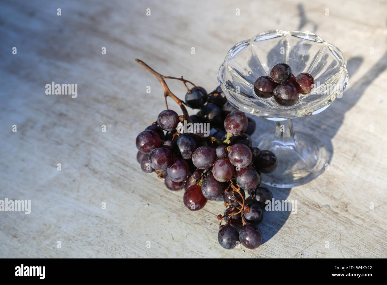 Dark blue grape on white background.Full depth of field Stock Photo - Alamy
