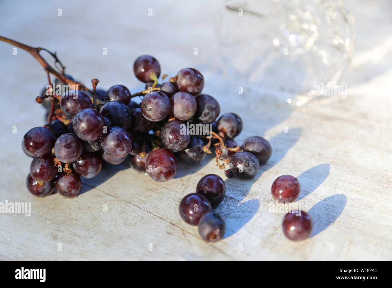 Dark blue grape on white background.Full depth of field Stock Photo - Alamy