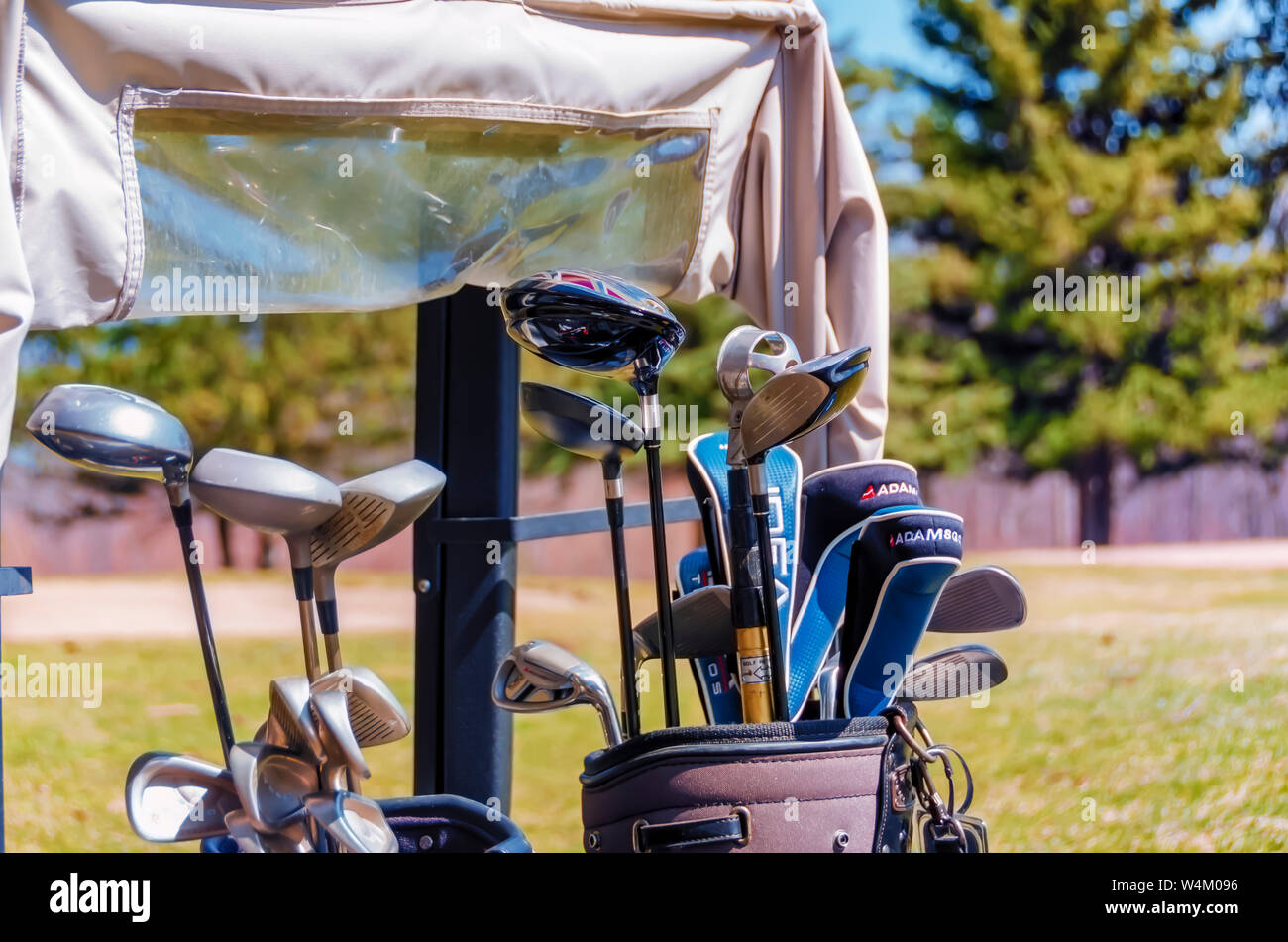 Golf clubs--drivers, irons, hybrids, wedges, golf ball retriever--in golf cart bags. Stock Photo