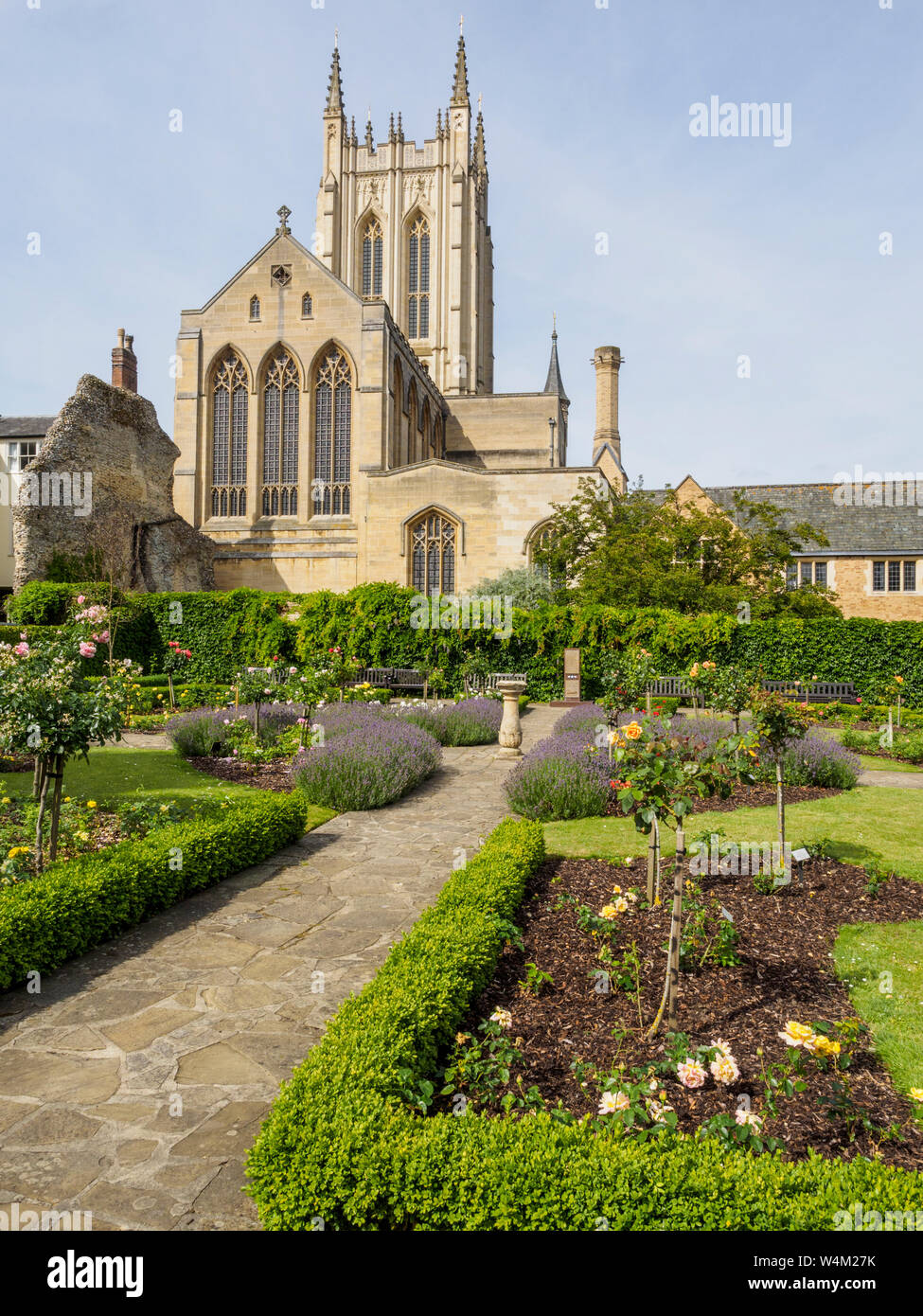 St Edmundsbury Cathedral from the Rose Garden in Abbey Gardens in Bury St Edmunds Stock Photo
