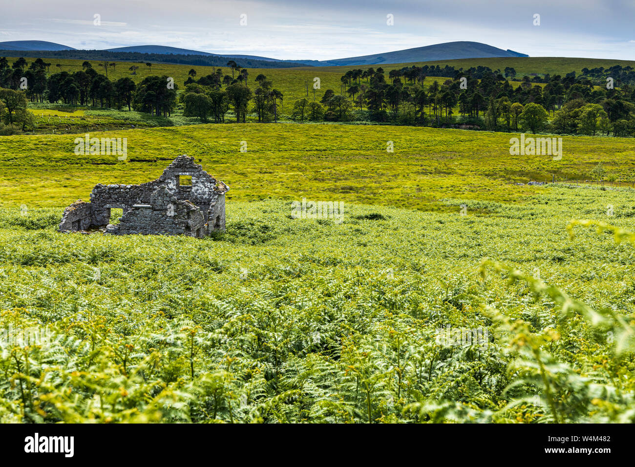 Ruins of an old stone built house in the Wicklow mountains near Sally