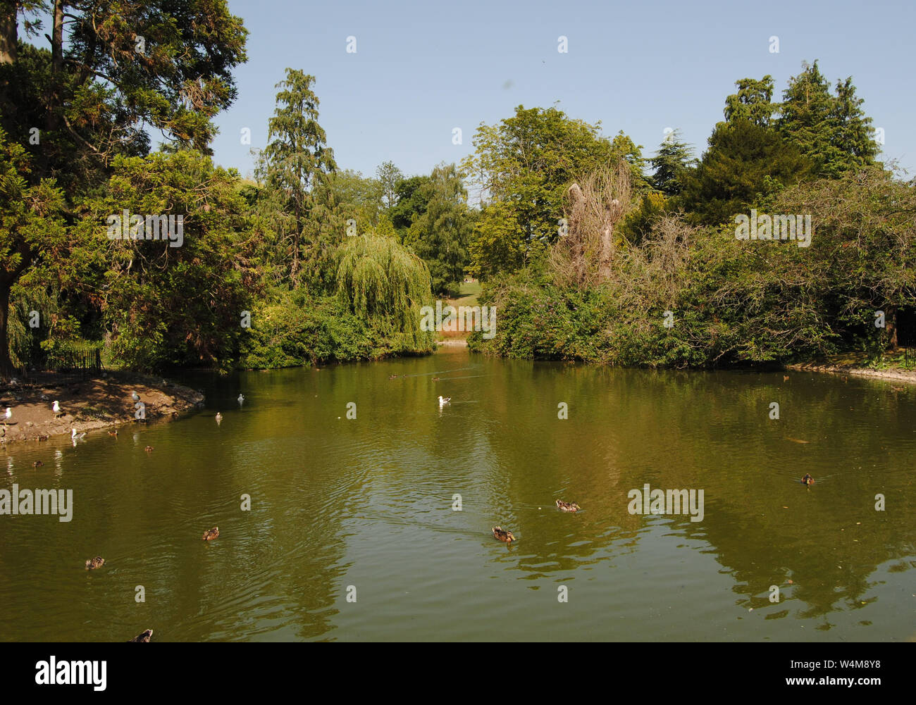 Royal Victoria Park and Botanical Gardens, Bath, UK Stock Photo - Alamy