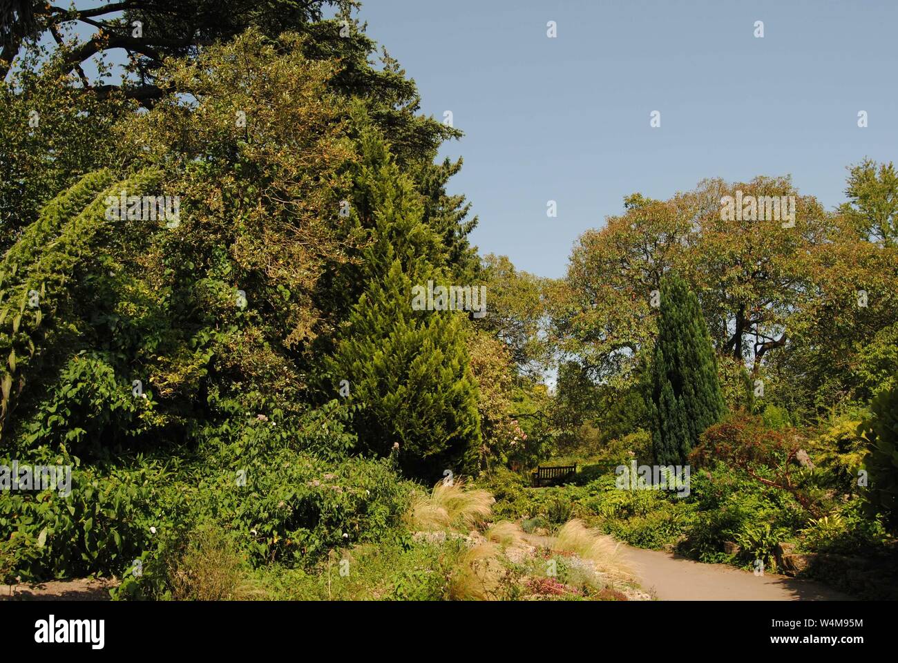 Royal Victoria Park and Botanical Gardens, Bath, UK Stock Photo - Alamy