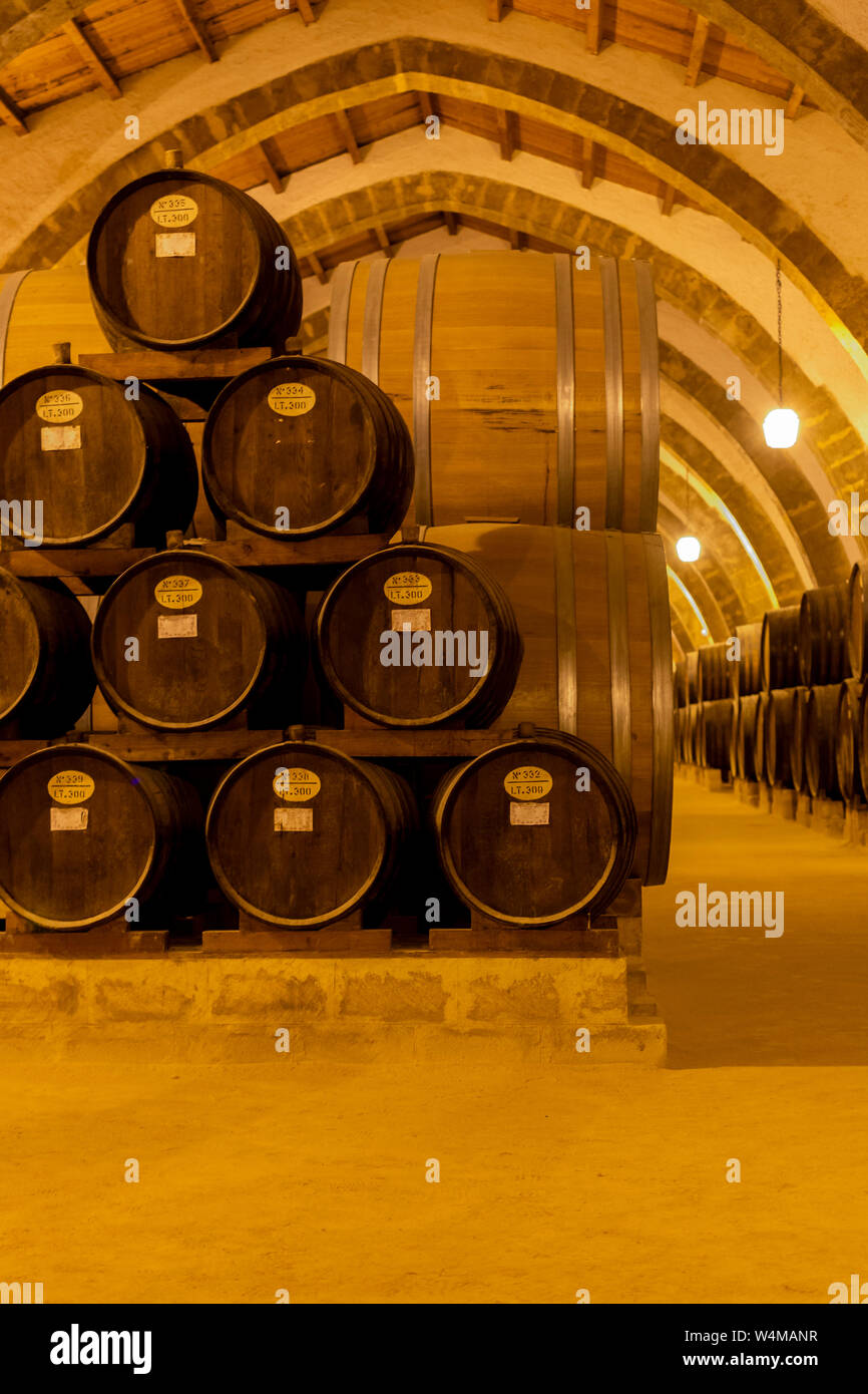 Vintage wine cellar with old oak barrels, production of fortified dry