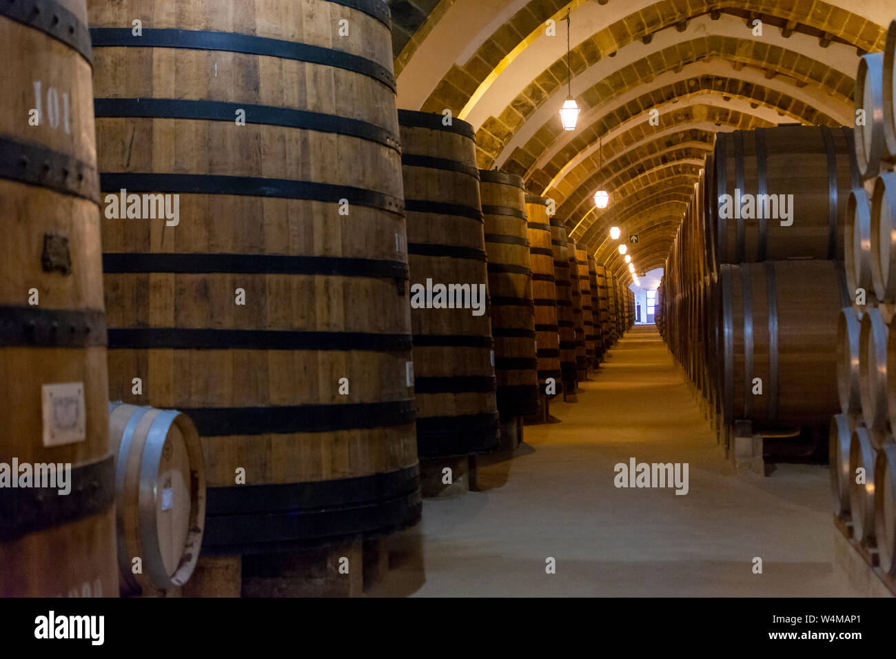Vintage wine cellar with old oak barrels, production of fortified dry