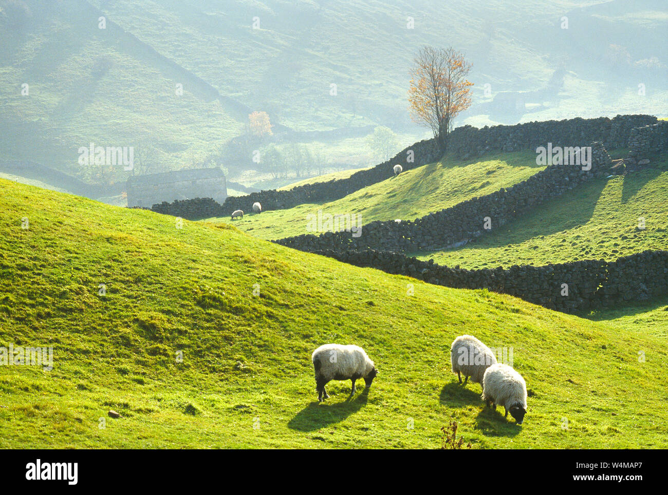 Enclosures england hires stock photography and images Alamy