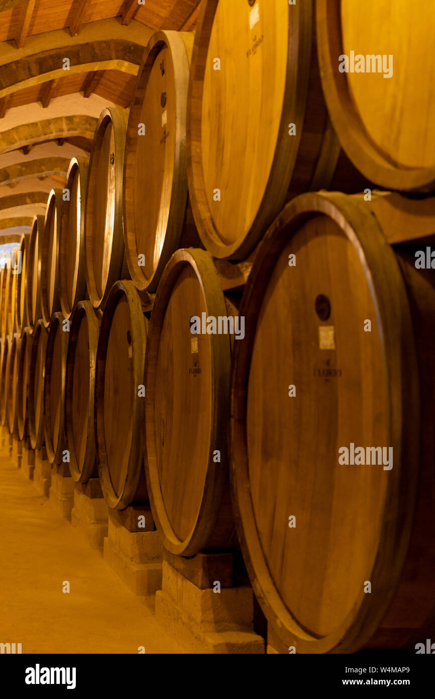 Vintage wine cellar with old oak barrels, production of fortified dry