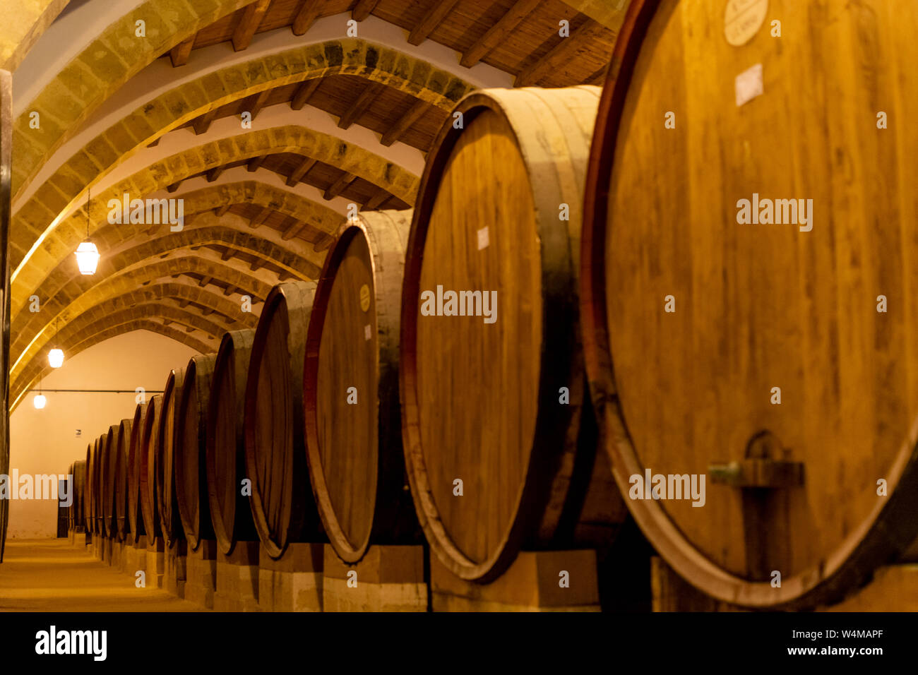 Vintage wine cellar with old oak barrels, production of fortified dry