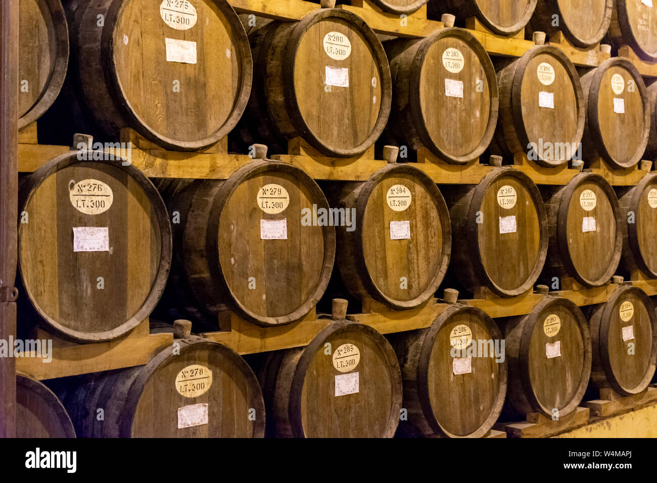 Vintage wine cellar with old oak barrels, production of fortified dry