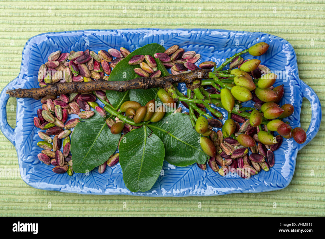 Emerald green pistachios nuts and pistachio tree branch from Bronte, located on slopes of Mt