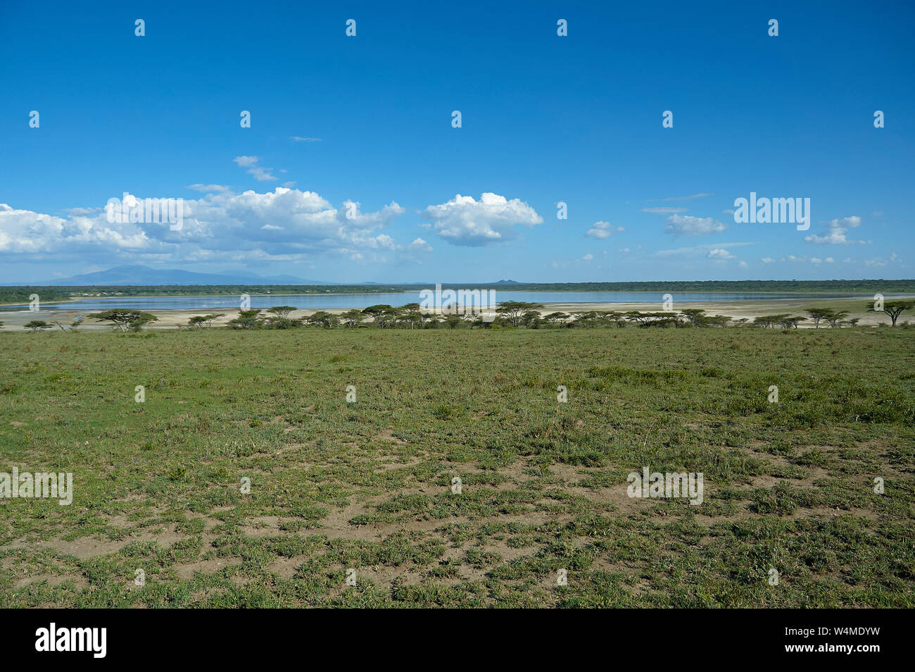 Landscape view of Lake Ndutu, Norther Tanzania Stock Photo